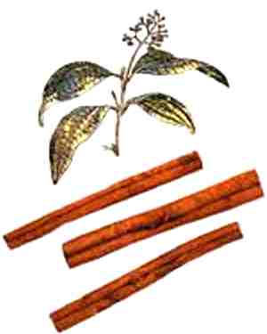 canela-beneficios beneficios da canela
