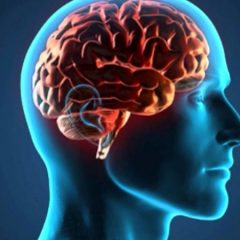 Neurocientistas mostram o que o jejum faz ao seu cérebro e porque as indústrias farmacêuticas não vão estudar esse fenômeno