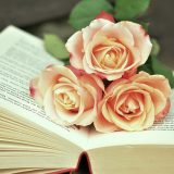 Melhores Livros de Auto Ajuda Para Crescimento Pessoal e Profissional